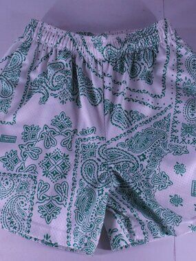 Bravest Studios Men's Mesh Shorts Paisley Bandana Green/White Print | Size L